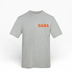 Grey GABA branded T-shirt with bold orange logo, casual streetwear style.