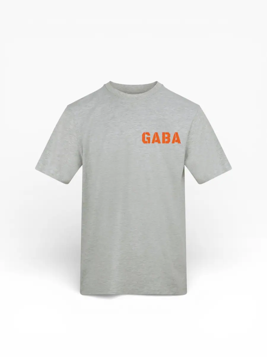 Grey GABA branded T-shirt with bold orange logo, casual streetwear style.