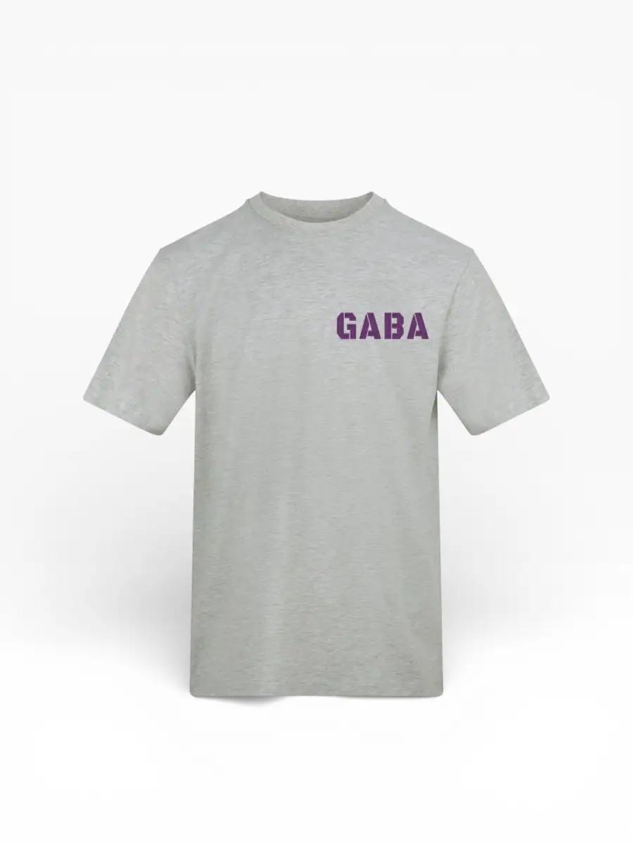 Grey GABA branded T-shirt with purple logo, casual streetwear style.