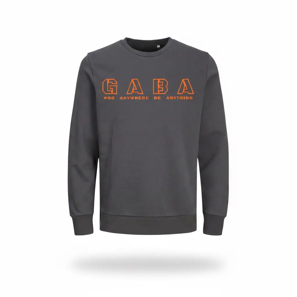Grey GABA sweatshirt with bold orange logo and slogan, casual streetwear style.