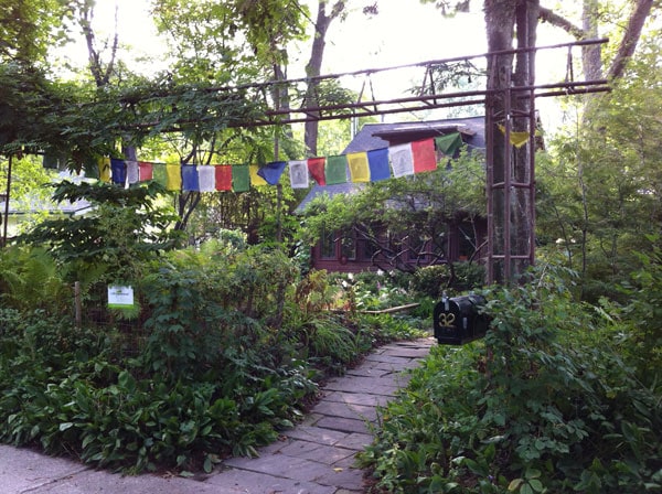 Algonquin Island flags