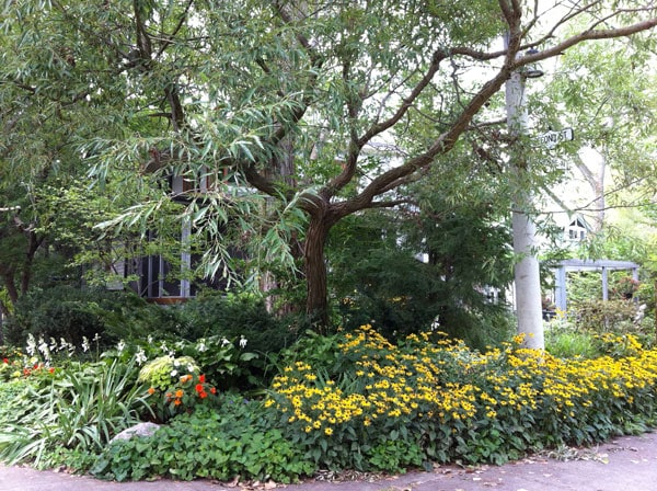 Ward's Island 1