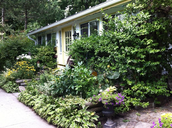 Wards's Island yellow house