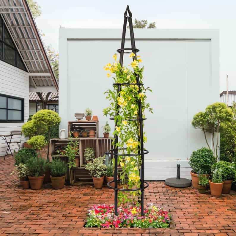 Metal obelisk trellis 