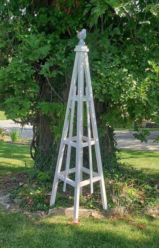 white cedar obelisk