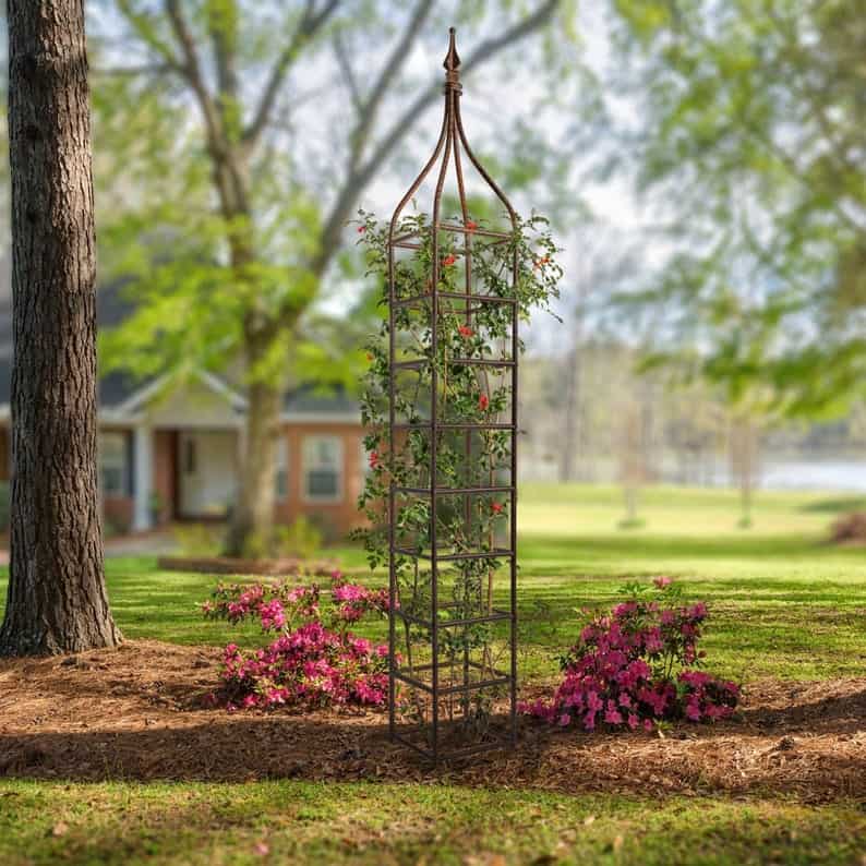 Tall metal obelisk trellis
