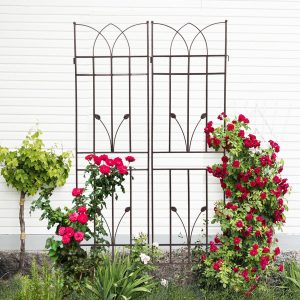 2 Pack Metal Garden Trellis with Rustproof Feature and Sturdy Iron Construction, Climbing Plant Support for Outdoor, Easy Assembly, Brown | Aosom.com