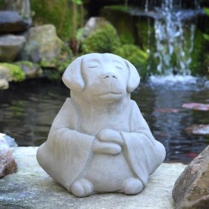 concrete Buddha dog