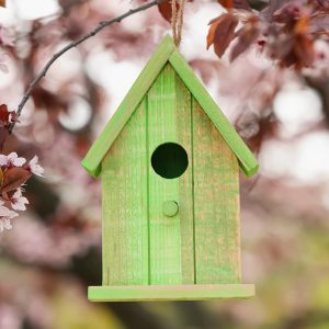Bird Houses