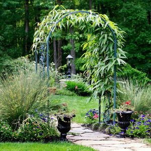 Metal Arbor or Trellis