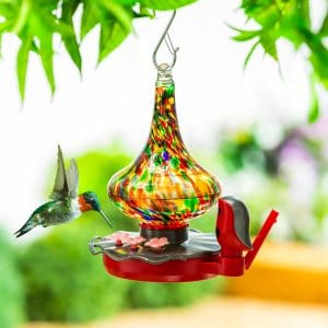 BirdsIVue Art Glass Hummingbird Smart Feeder