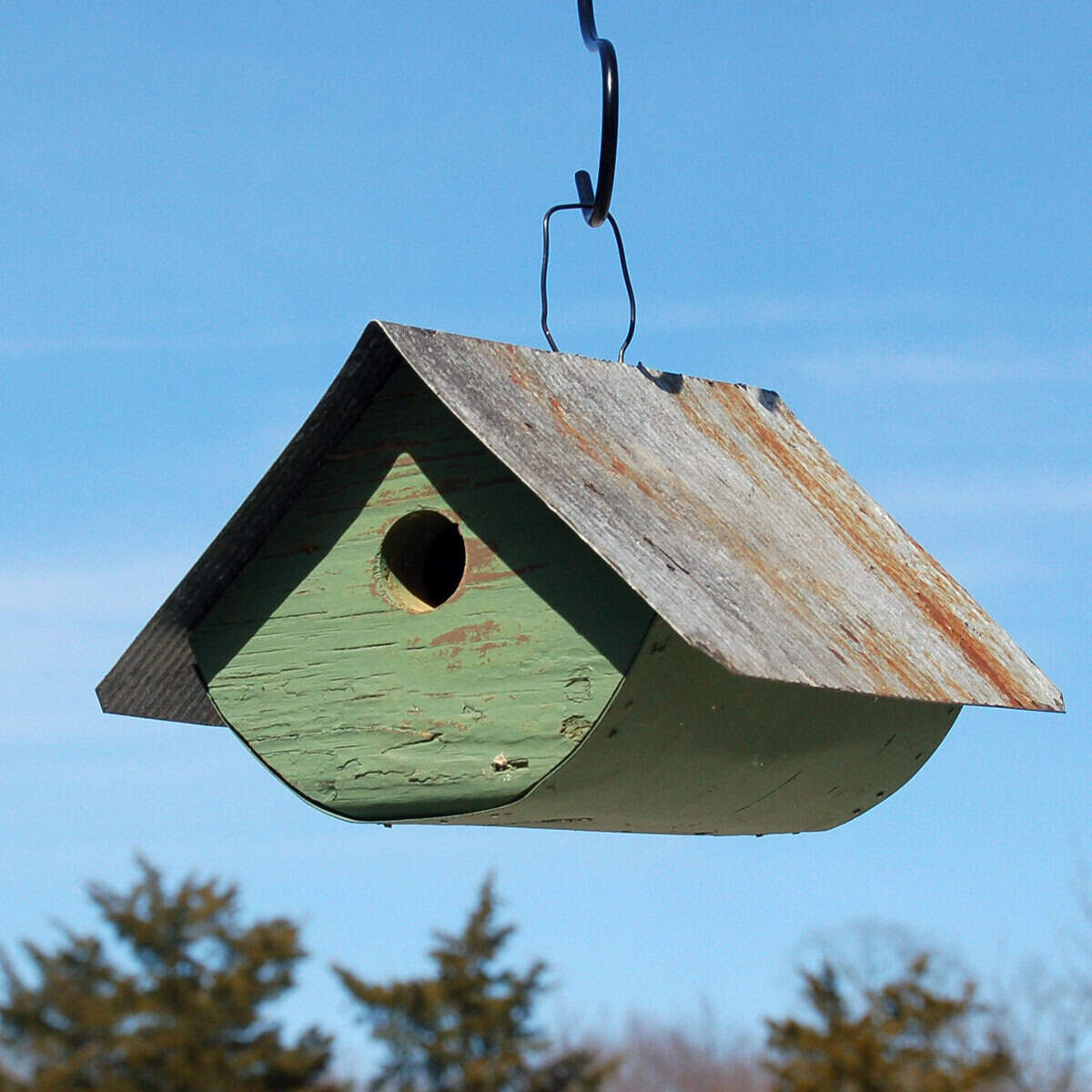 Buck's County Wren Bird House