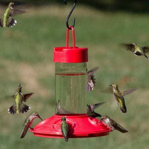 Dr. JB's 16-Ounce Dishwasher-Safe Hummingbird Feeder