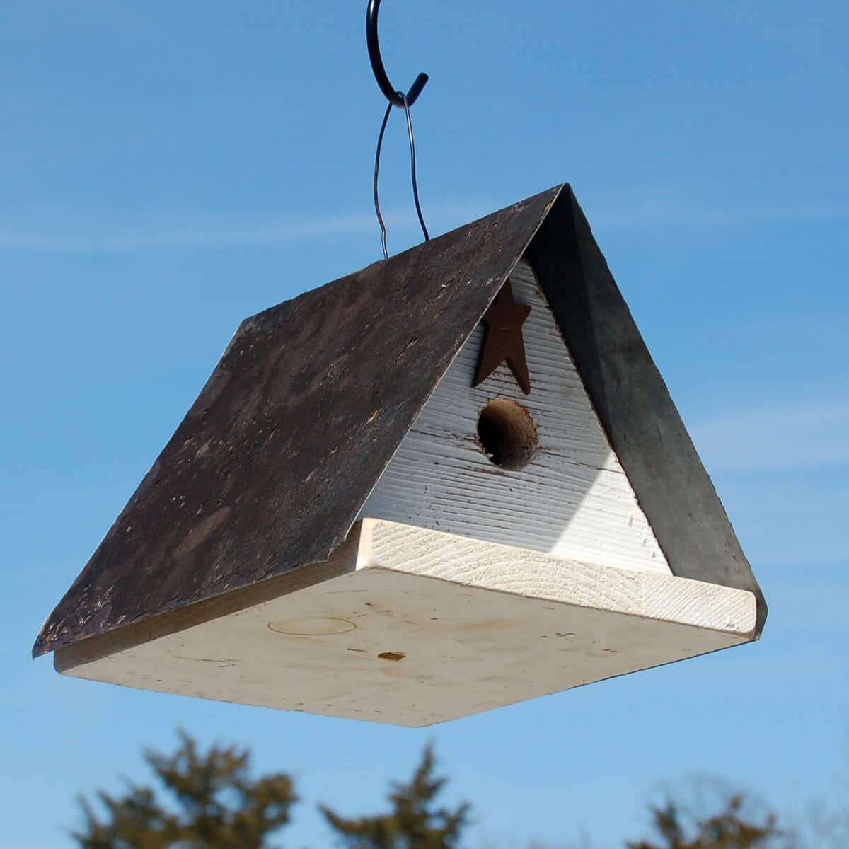 Friendsville Wren Bird House
