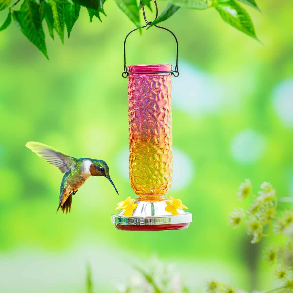 Garden of Wonder Bird Feeder, Textured Iridescent Glass Hummingbird Feeder