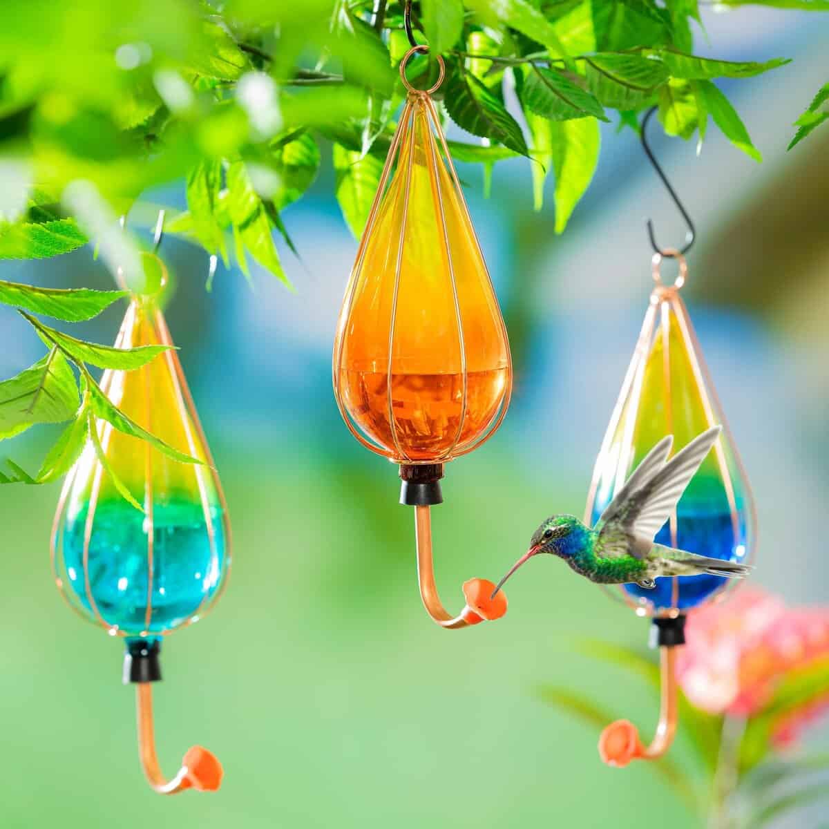 Ombre Glass Hummingbird Feeders, Set of 3