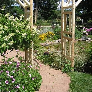 Outdoor Wooden Arbor