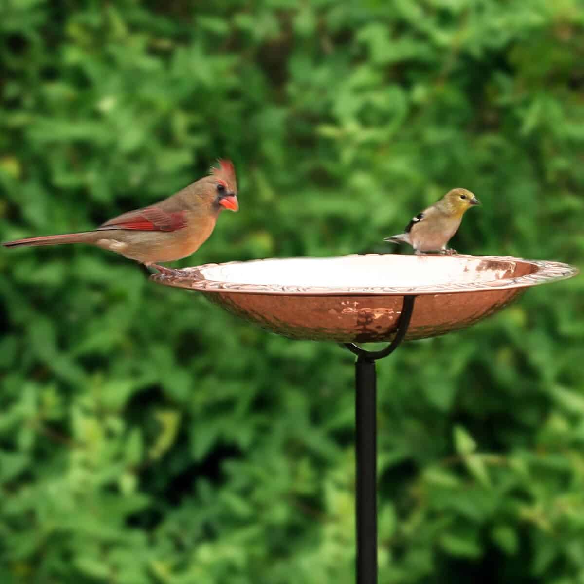 Pure Copper Birdbath on Powder-Coated Steel Pole With Sturdy Three-Prong Stake