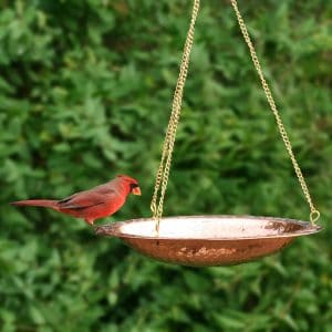 Pure Copper Hanging Birdbath on 17" Long Brass Chain with Hook