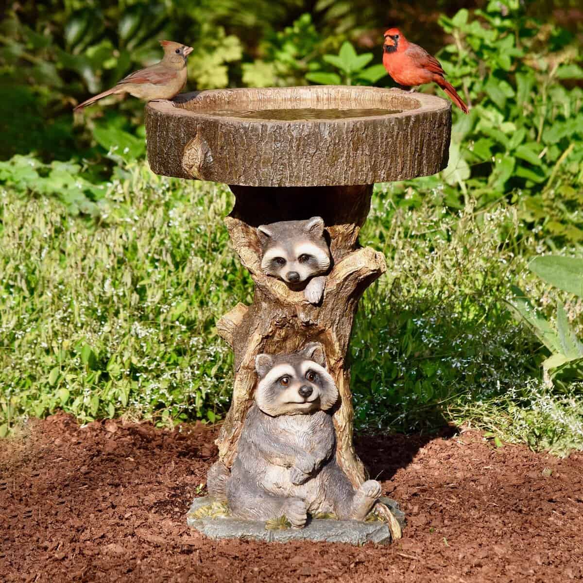 Resin Raccoon Birdbath