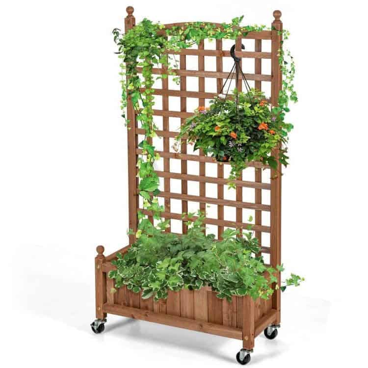 Solid Wood Raised Garden Bed with Trellis