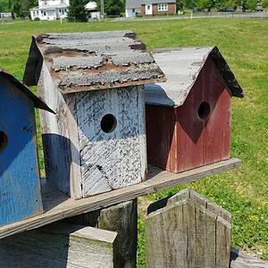Union Trio Bird House