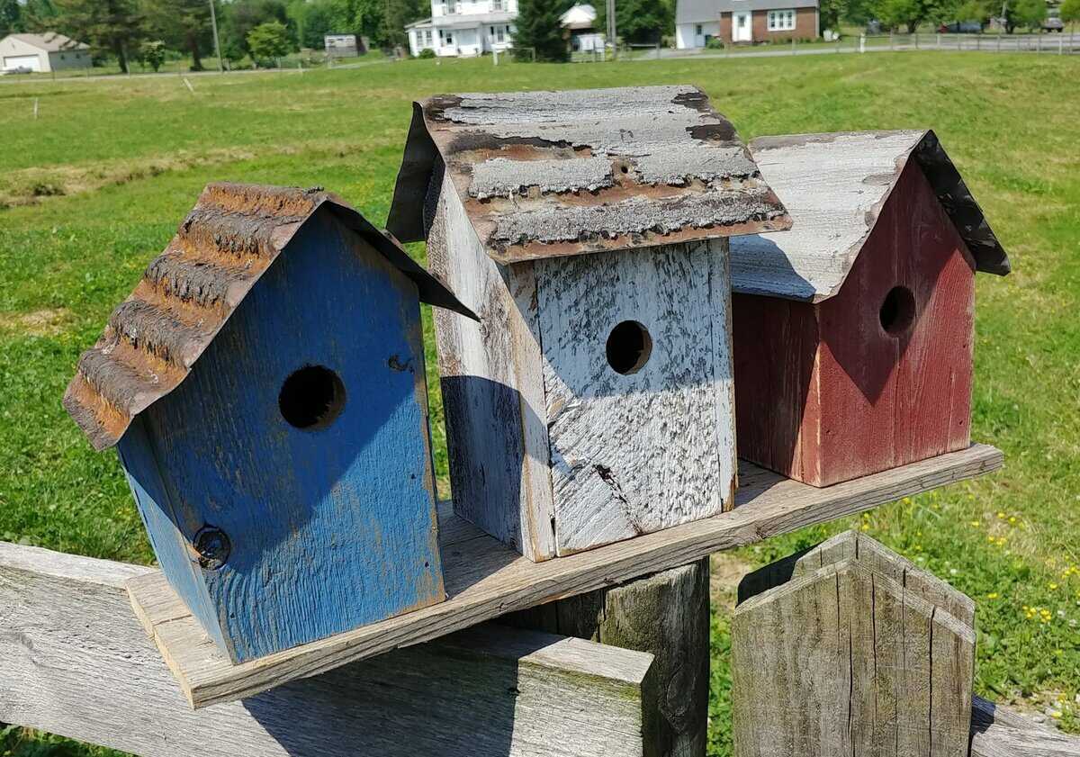 Union Trio Bird House