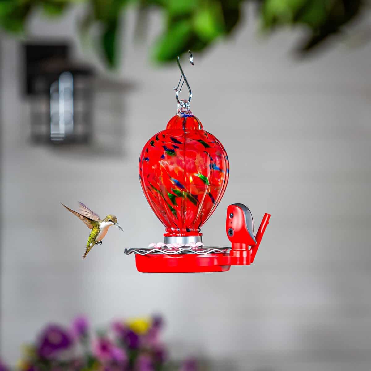 Solar Smart Hummingbird Feeder with HD Camera