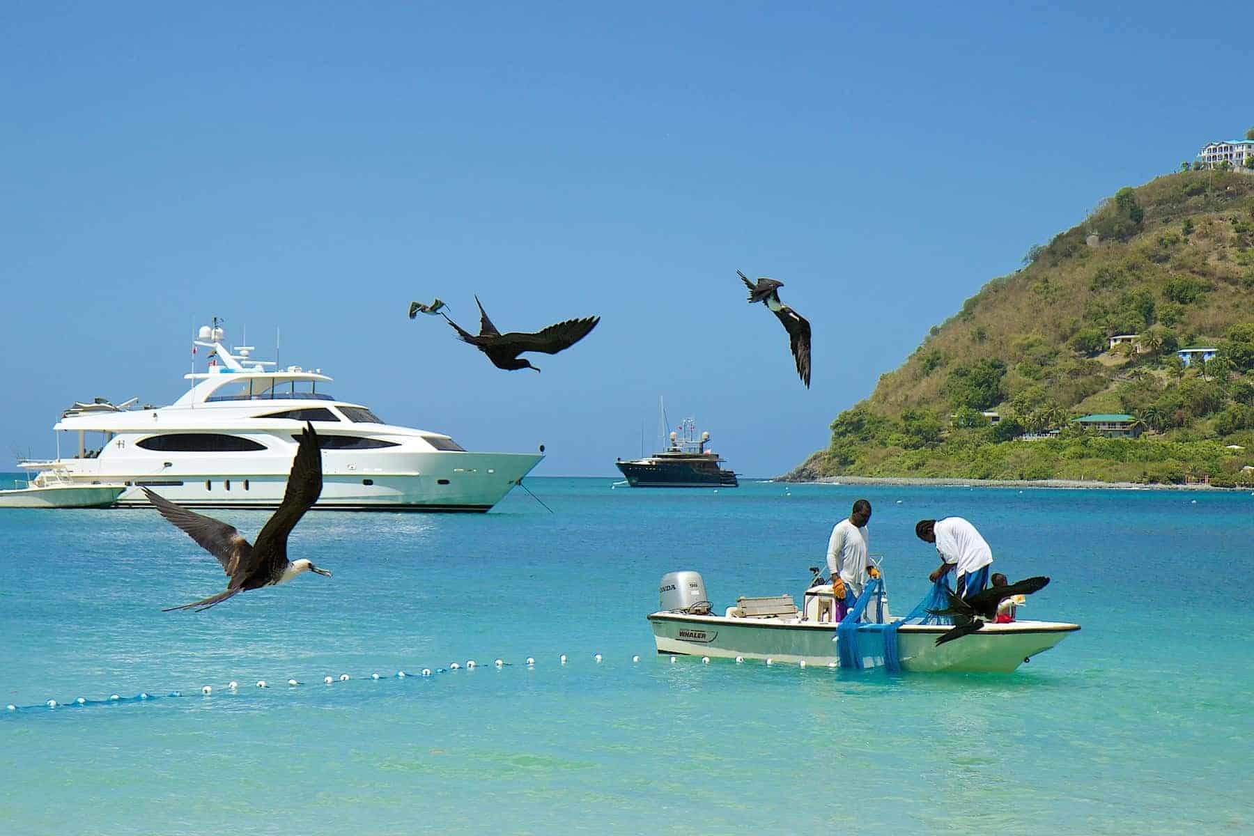 Fishermen, birds and boats in Doctor's cove bay, tortola, British Virgin islands