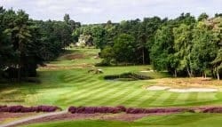 Lush green golf course surrounded by tall trees and vibrant purple flowers, ideal for golf vacations and outdoor relaxation.
