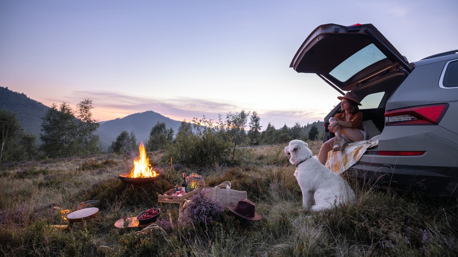 Everything About Camping Holidays