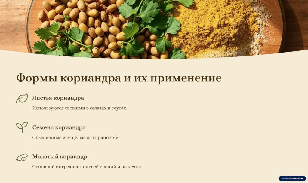 Приправа кориандр: что это за специя и как её использовать? 5 формы кориандра и их применение