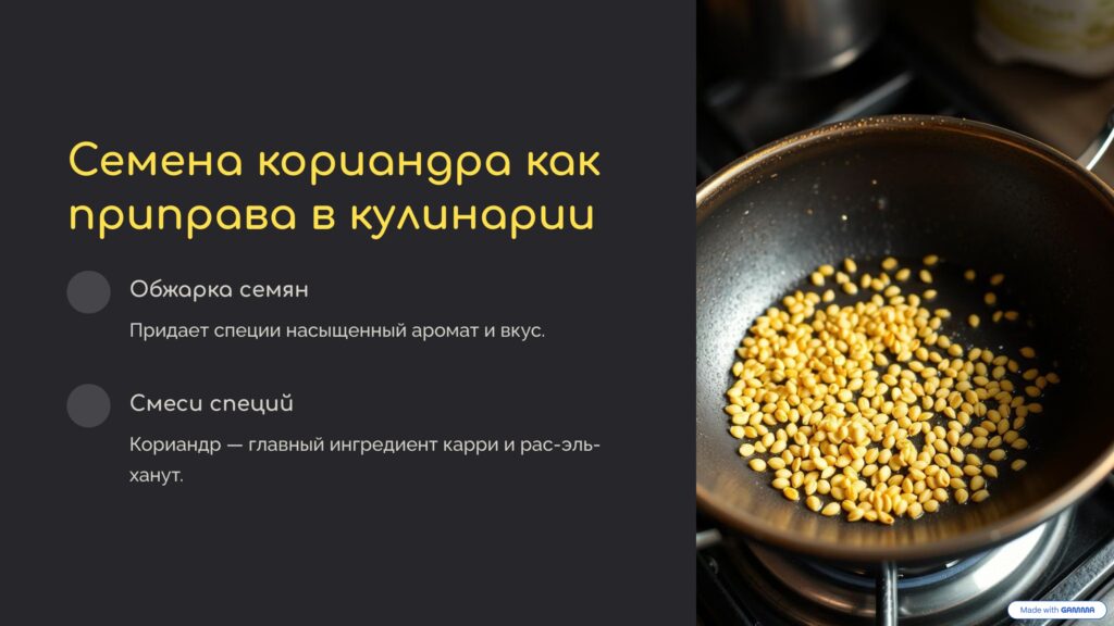 Приправа кориандр: что это за специя и как её использовать? 6 семена кориандра как приправа в кулинарии