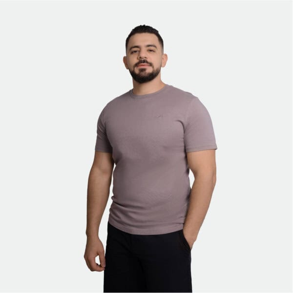 Hollister Men Icon Crew T-Shirt
