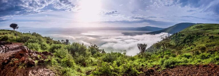 Safari i Tanzania: Ngorongoro krateret