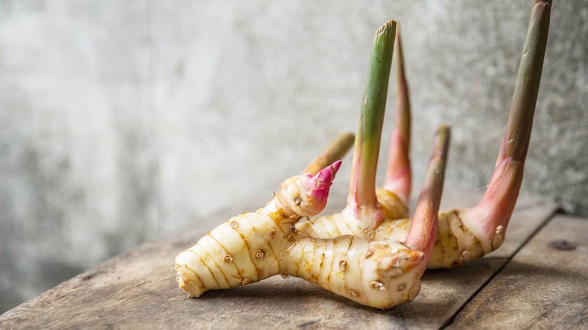 Thailandsk mad og 40 lækre thai retter 21 galangal-rod, sund Thai mad