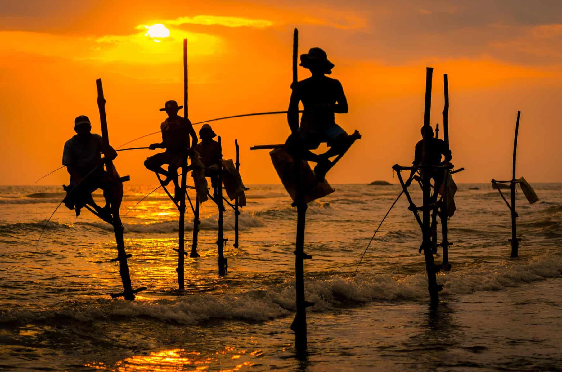Sri Lanka 3 Traditionel og utroligt fiske erhverv