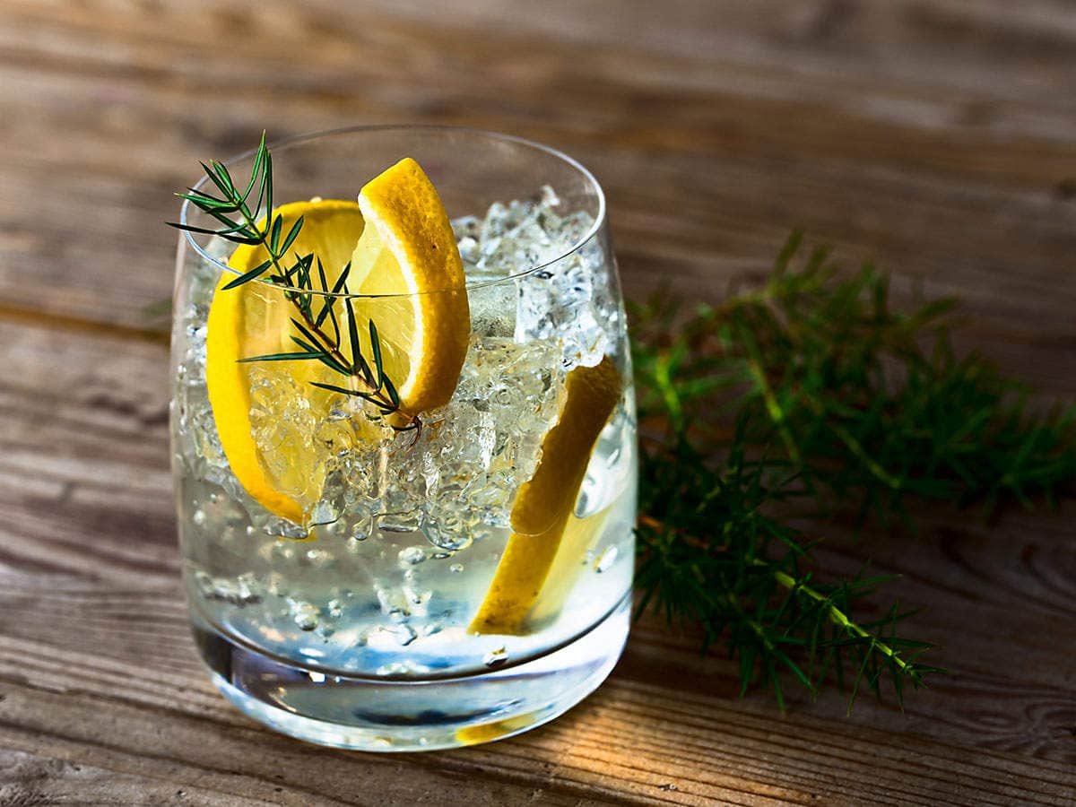 5 Surprising Health Benefits Of Drinking Gin