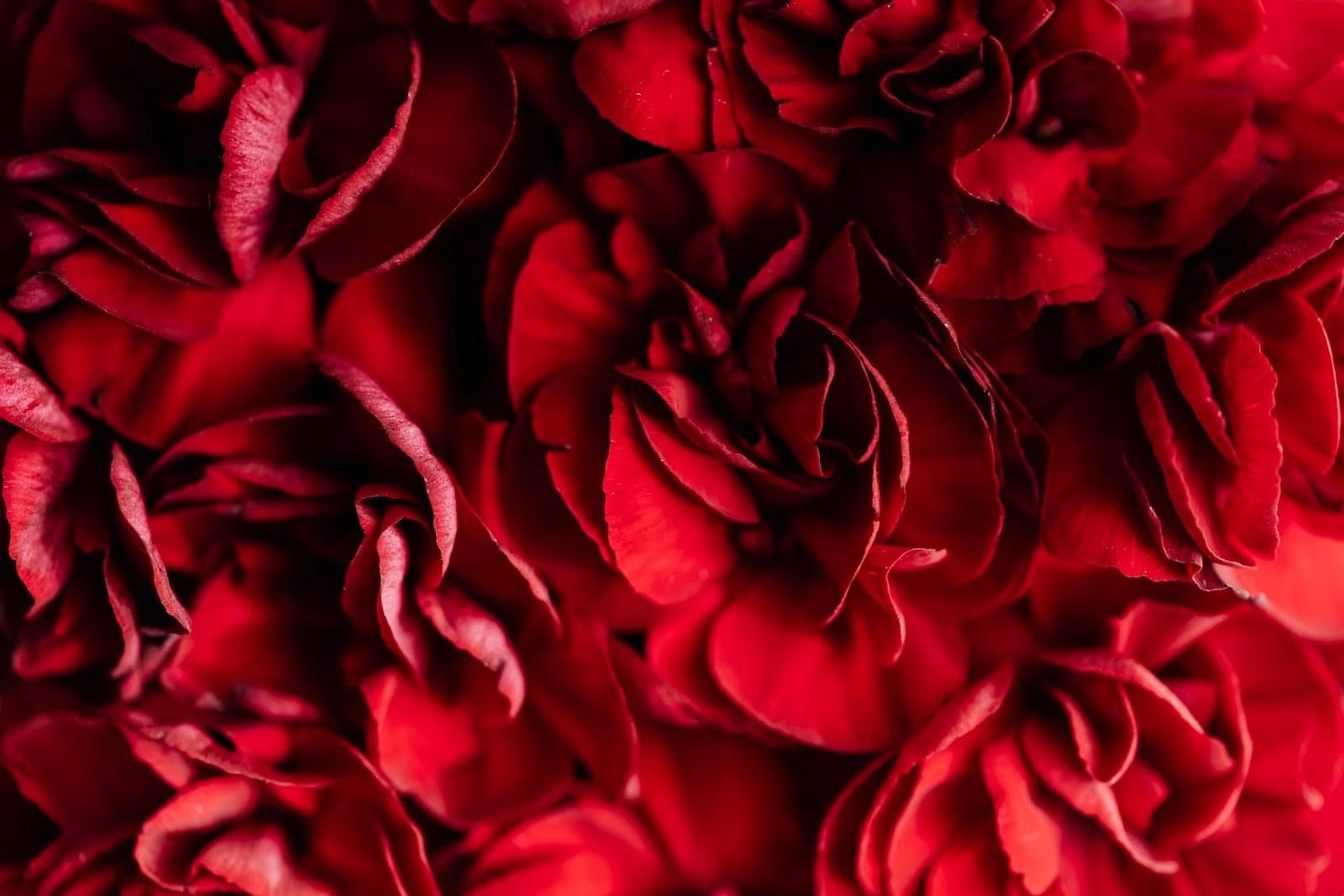 How To Set Up A Potpourri Business