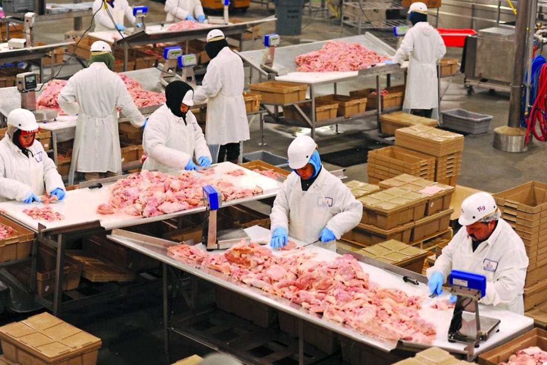 Deboning Processes Unraveled