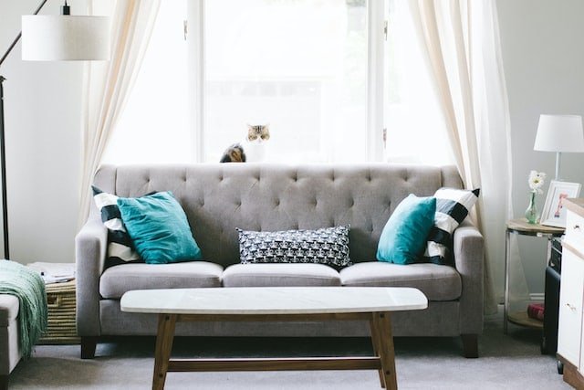 Tauranga Best Furniture Stores