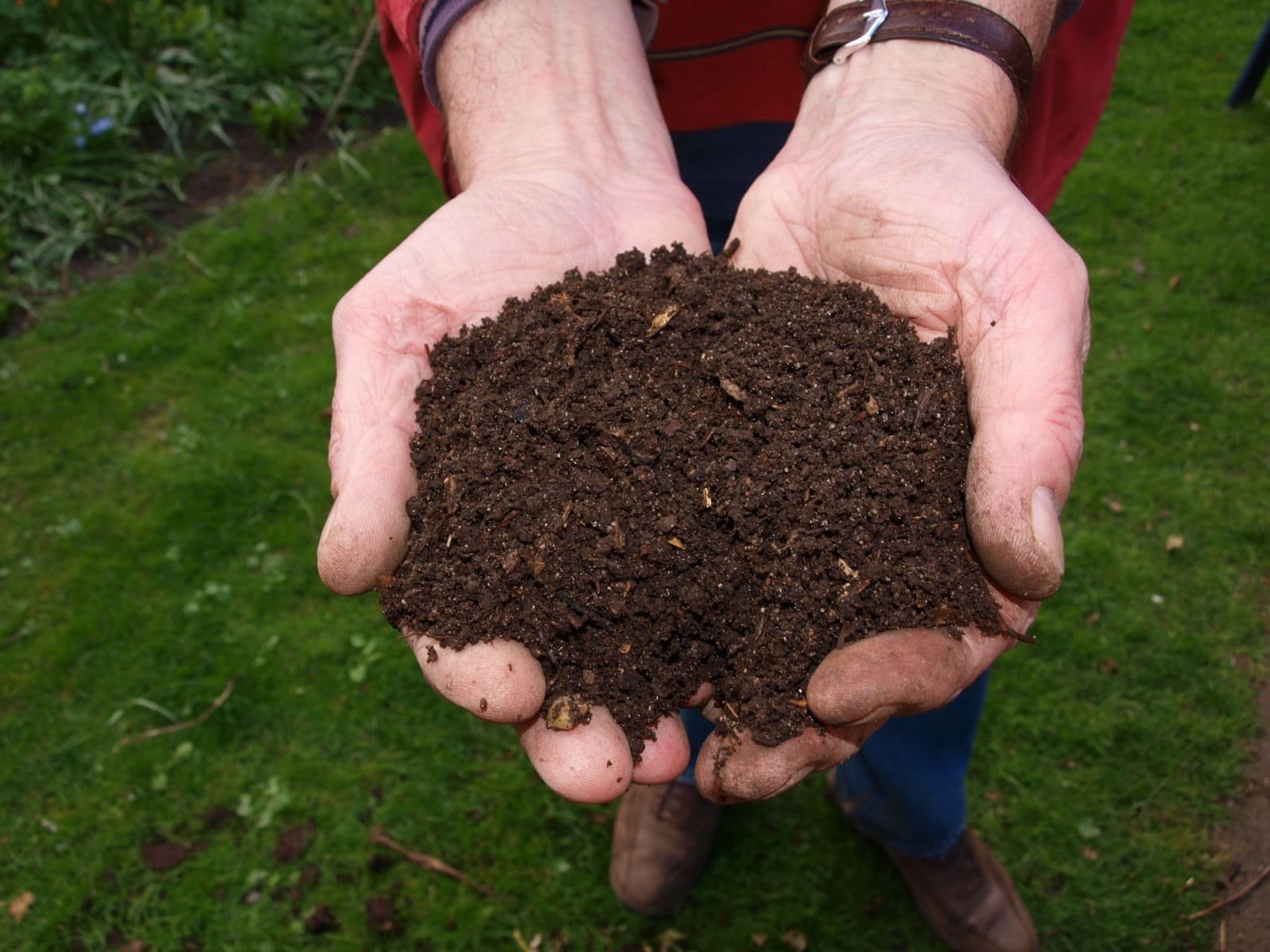 Mulch Installation
