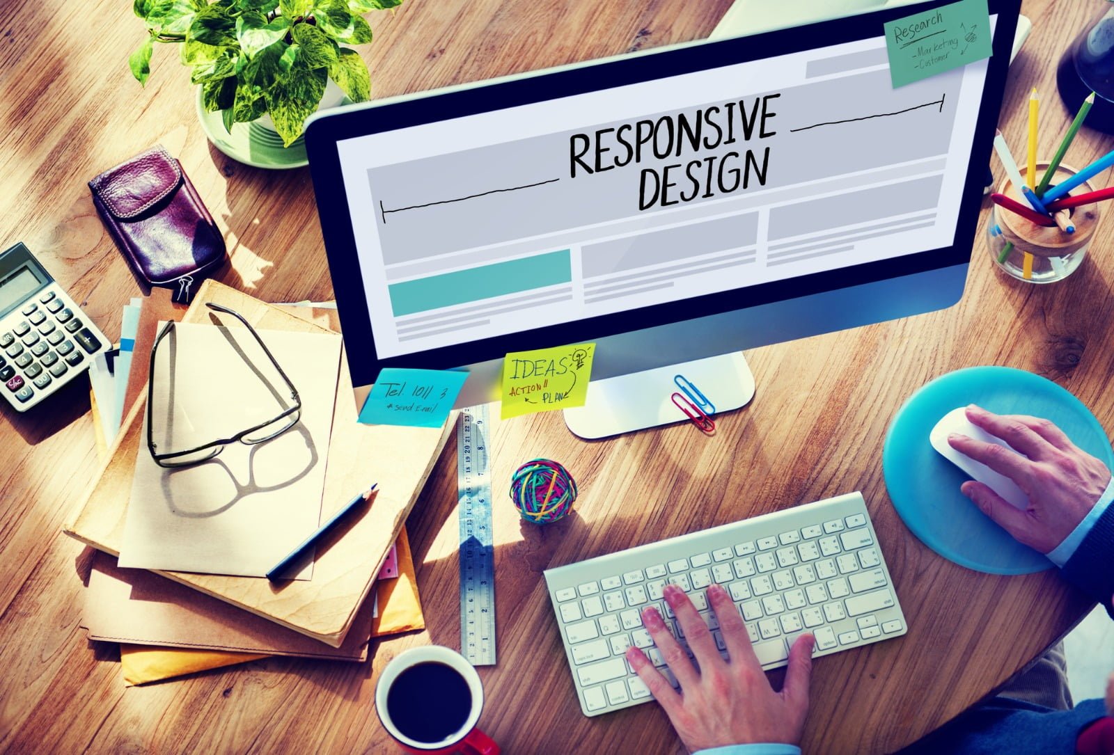 Website Color Schemes