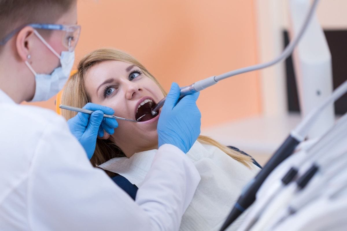 Tooth Root