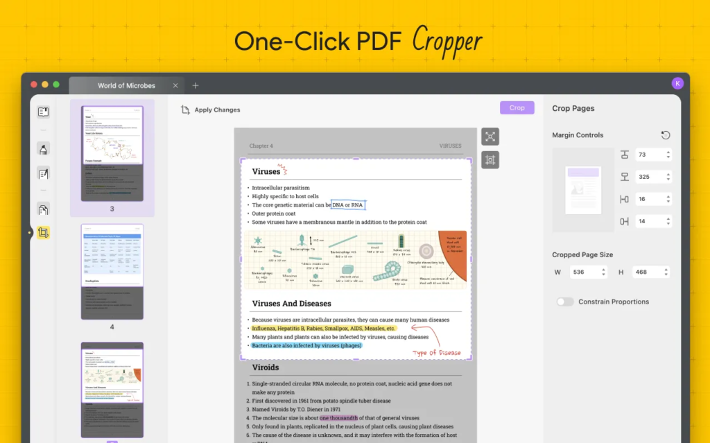 Full Guide: How To Crop A Pdf For An Organized Pdf Workflow 3 Full Guide: How To Crop A Pdf For An Organized Pdf Workflow 2
