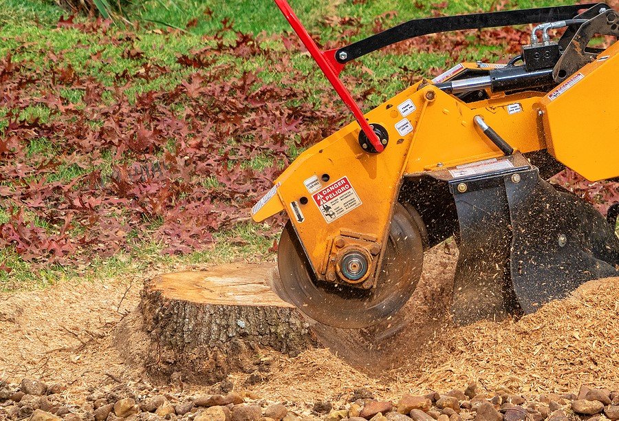 Dedicated To Excellence! The Complete Outdoor Services Offered By Progressive Lawn And Landscape Inc 2 Dedicated To Excellence! The Complete Outdoor Services Offered By Progressive Lawn And Landscape Inc 1