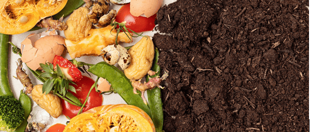 Composting For Beginners: Turning Kitchen Scraps Into Garden Gold
