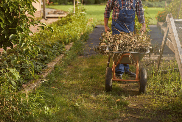 Composting For Beginners: Turning Kitchen Scraps Into Garden Gold 2 Composting For Beginners: Turning Kitchen Scraps Into Garden Gold 1