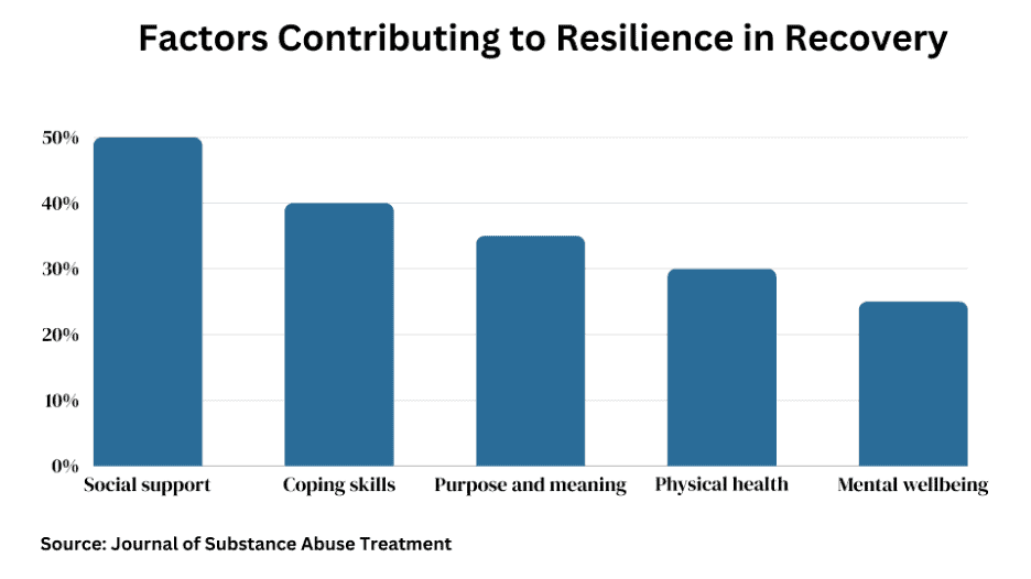 Building Resilience In Addiction Recovery: Strategies For Long-Term Sobriety 2 Building Resilience In Addiction Recovery: Strategies For Long-Term Sobriety 1