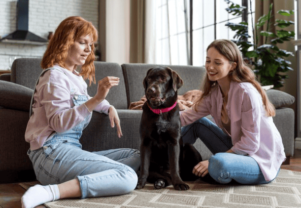 Choosing The Perfect Companion: Finding The Right Pet For Your Lifestyle